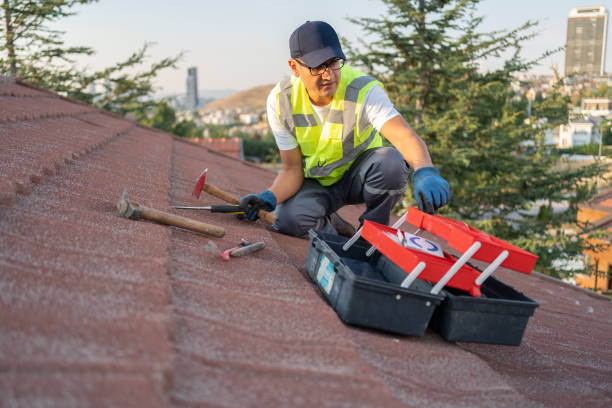 Best Storm Damage Siding Repair  in Accokeek, MD